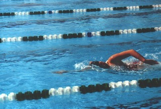 One person swimming freestyle in a lap lane.