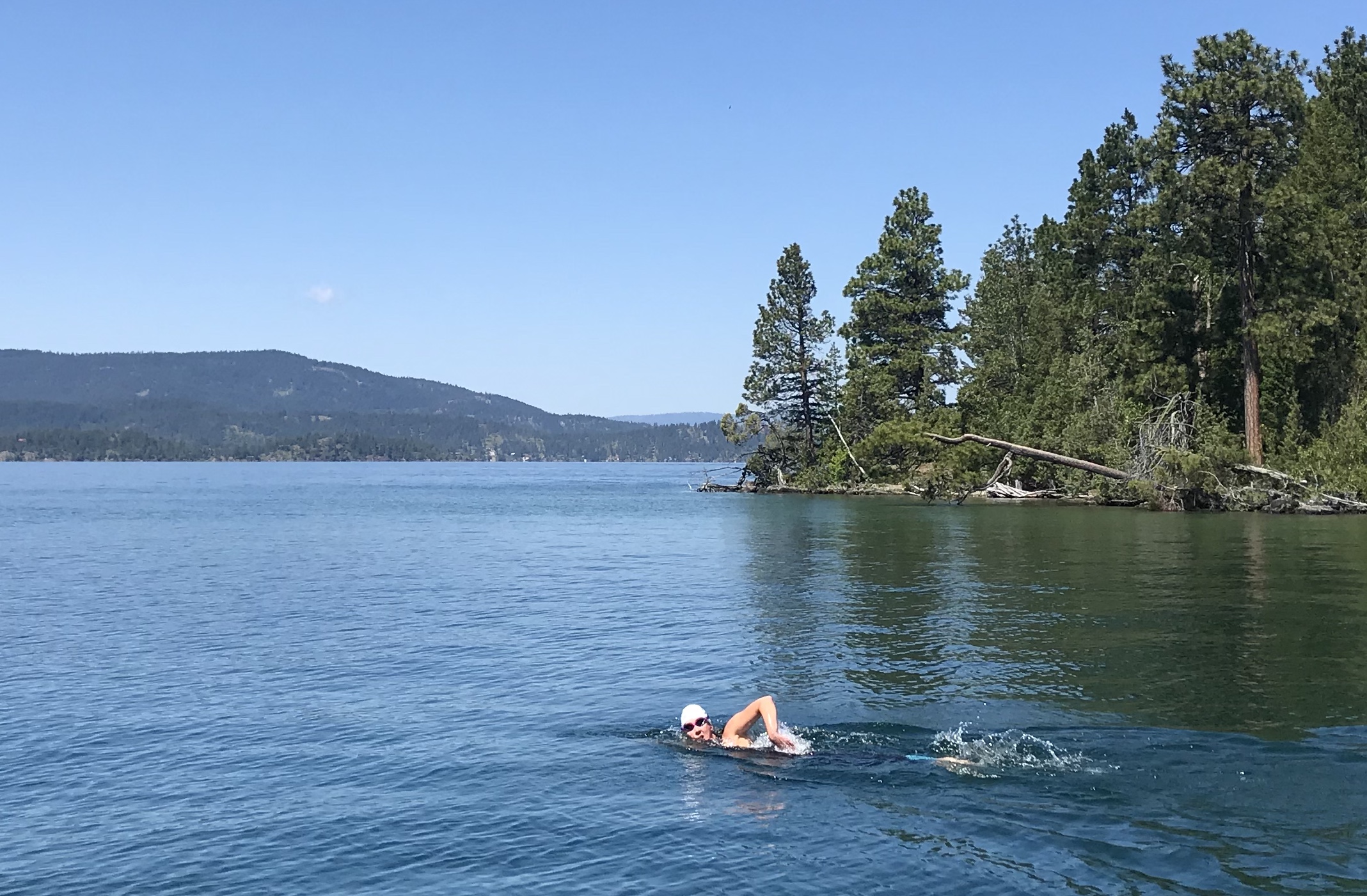 Woman swimming in Flathead lake. Trees on right side and mountains in the back.